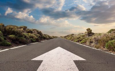 The Future of Rave Retailer: Innovation and Excellence